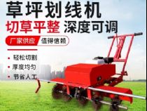 點(diǎn)擊查看詳細(xì)信息<br>標(biāo)題：草皮劃線機(jī) 閱讀次數(shù)：2453