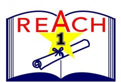 REACH�J�C�M���Ƕ���?